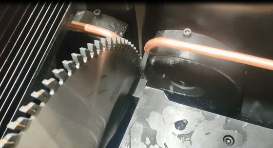 Torsel Full Automatic Saw Sharpening Machine Industria del legname