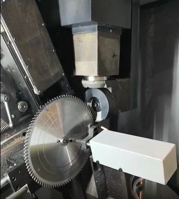 Apparecchiature di affilatura a lame di sega circolare automatiche a torso